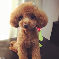 RILUちゃん