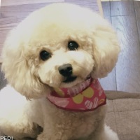 モカちゃん
