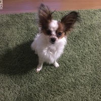 すずちゃん