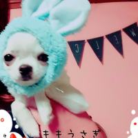 キキくん