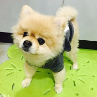ムウくん