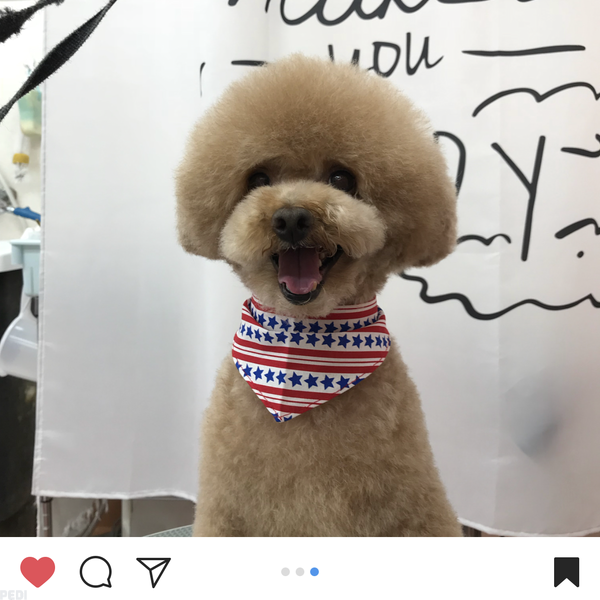 幸くん