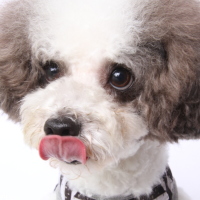 殿くん