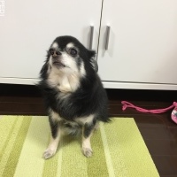 ソラくん