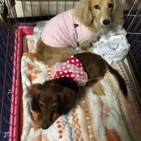 ナツちゃん