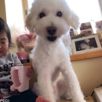 るいくん