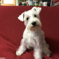 フローラちゃん