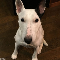 バウちゃん