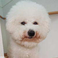 わたくん