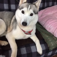 ジェナちゃん