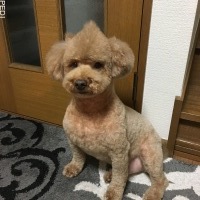 アックスくん