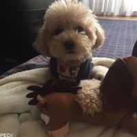 英斗くん