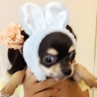 水波ちゃん