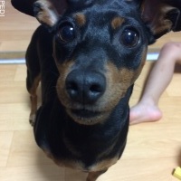 ライちゃん