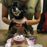 わかめちゃん