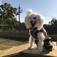 みるくちゃん