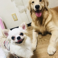 がんくん