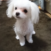 まりんちゃん