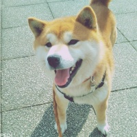 いなりくん