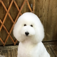 うふこちゃん
