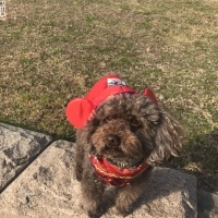 アンディーくん