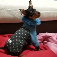 ベルくん
