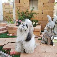 Yuy❪唯❫ちゃん