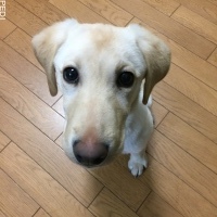 エマちゃん