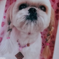 May❪命❫ちゃん