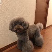 るぴくん