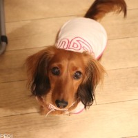 なぎちゃん