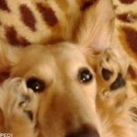 れんくん