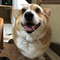 オーリーくん