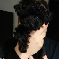 クイーンちゃん