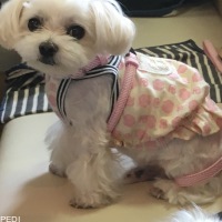 まるくん