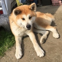 アレックスちゃん
