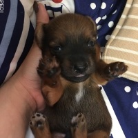 キキちゃん