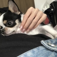 ごまだれちゃん