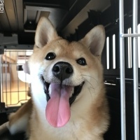 きょうすけくん