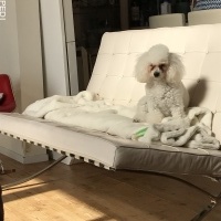 ひなちゃん
