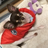 ALANくん