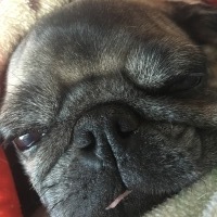 ジェニーちゃん