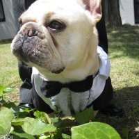 げんごろうくん