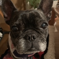 クラウディアちゃん