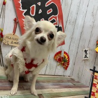 トゥイーティーちゃん