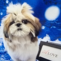 mana❪愛❫ちゃん