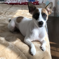 ウィスキーくん