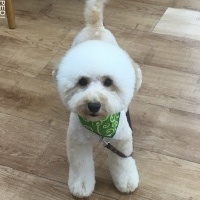 千代イ三郎くん