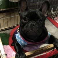 ジェンマちゃん