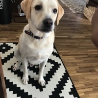 こうたろうくん